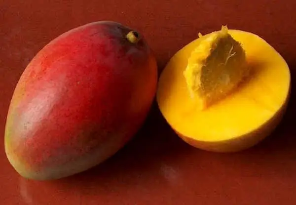 Mangga (buah): penerangan dan foto. Di manakah mangga tumbuh? Khasiat dan kemudaratan mangga