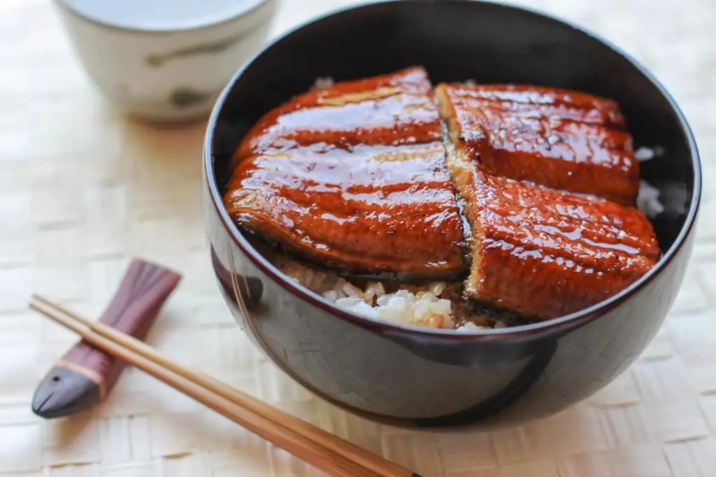 Eel for sushi: selection rules, storage features, recipes and cooking nuances