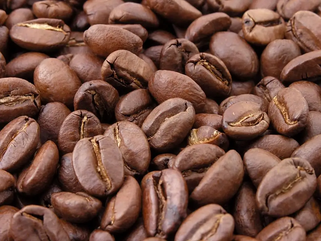 The most delicious coffee beans: brand names, roasting features and cooking rules