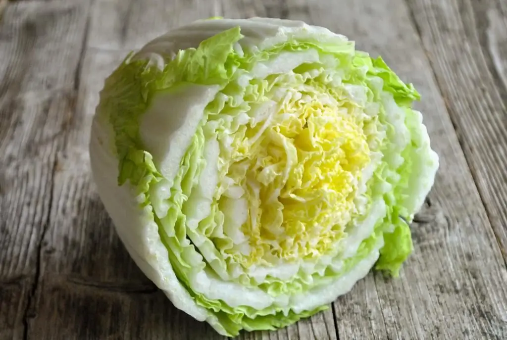 repolho chinês para salada