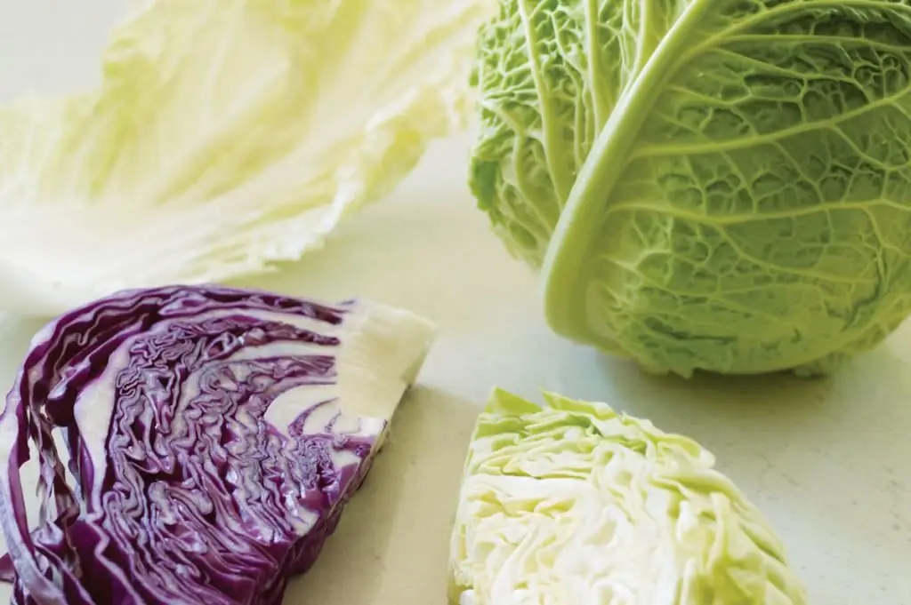 replace cabbage leaves in salad