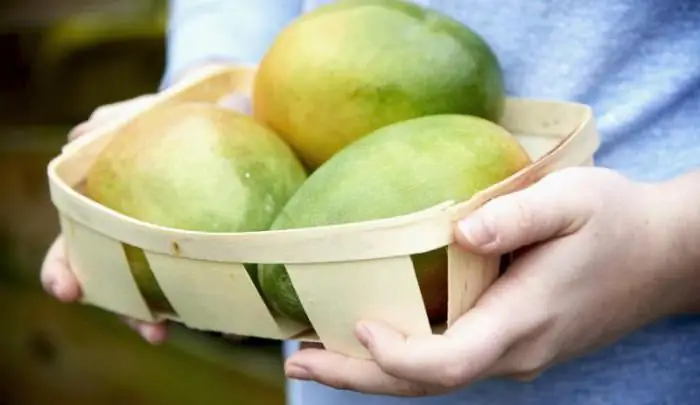 la mejor manera de almacenar mangos en casa