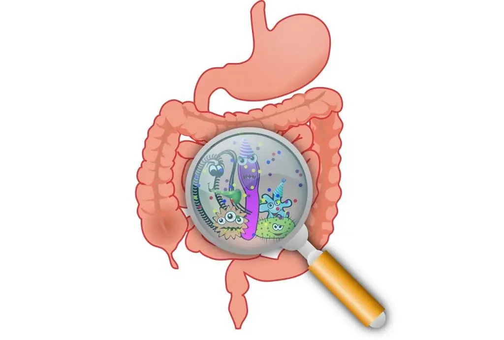 foods that cause fermentation in the intestines