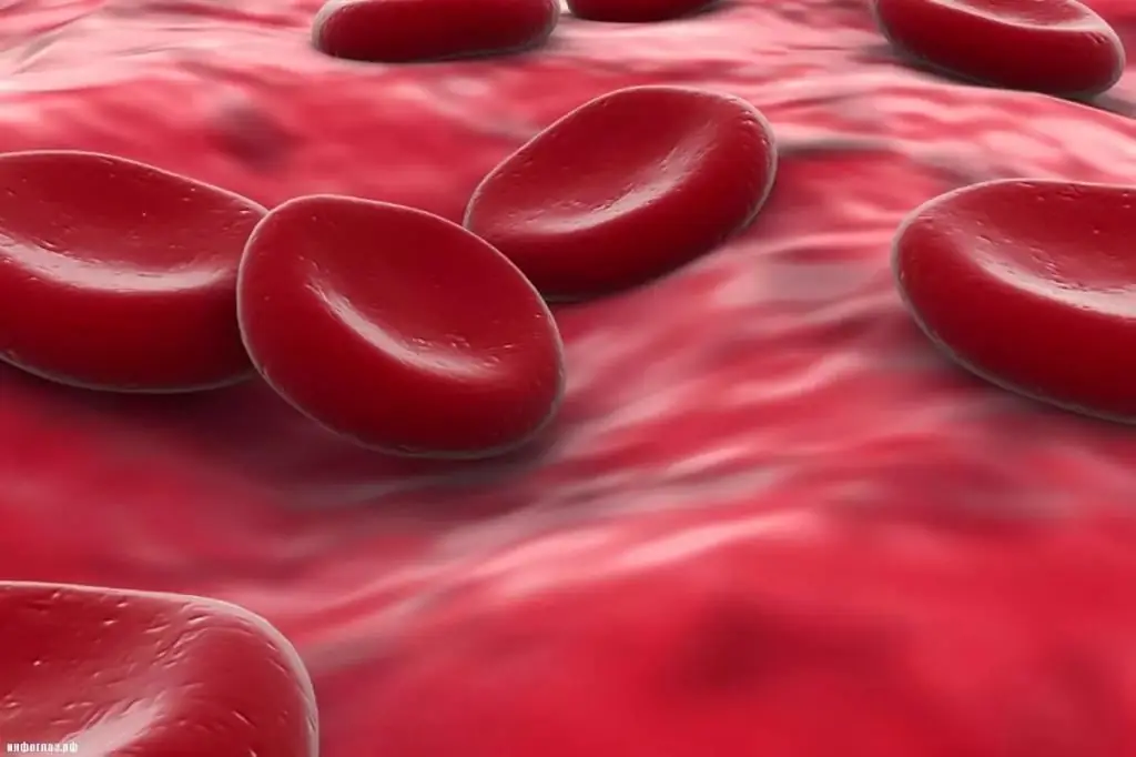 Anong mga prutas ang nagpapataas ng hemoglobin: isang listahan, isang positibong epekto sa mga antas ng hemoglobin sa dugo, isang sample na menu at payo ng mga doktor