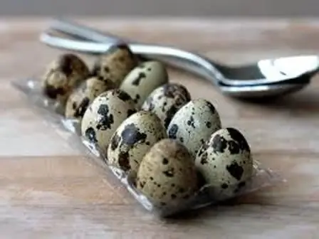 Boiled egg: benefits and harms. The benefits and harms of boiled chicken and quail eggs