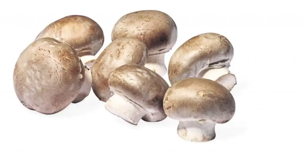 Wie und wie viel Champignons bis zum Kochen kochen - Funktionen und Empfehlungen