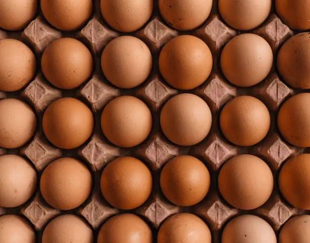 Which eggs are best? C1 or C0? Types of eggs and their classification