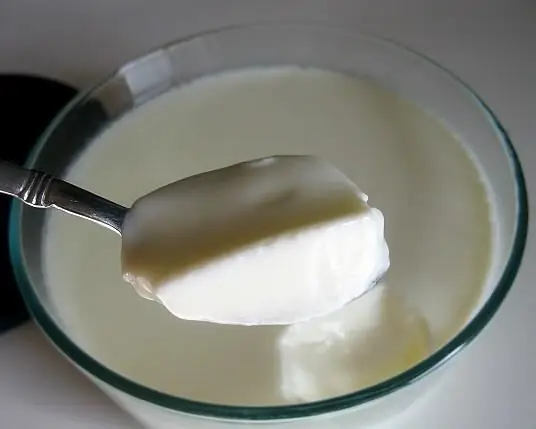 ricette con la yogurtiera