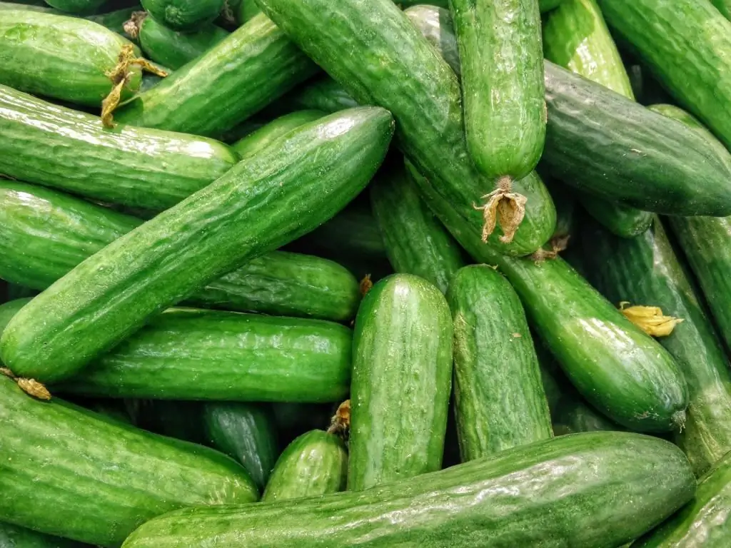 tshiab cucumbers