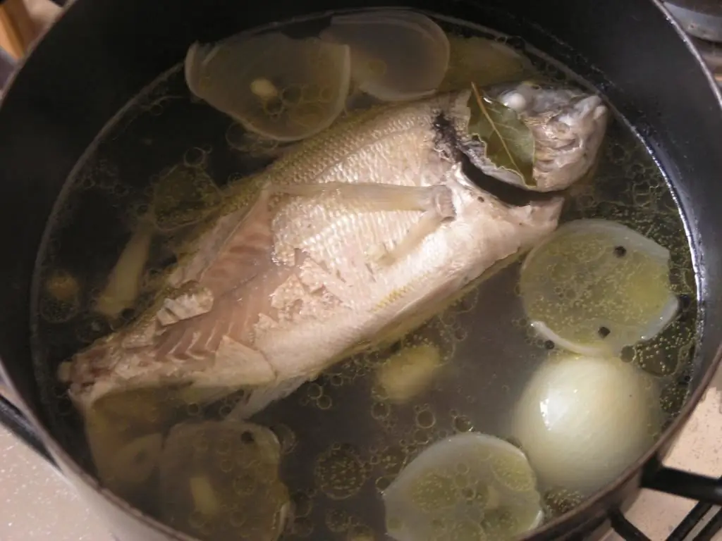 Poisson bouilli : recette. Plats de poisson bouilli