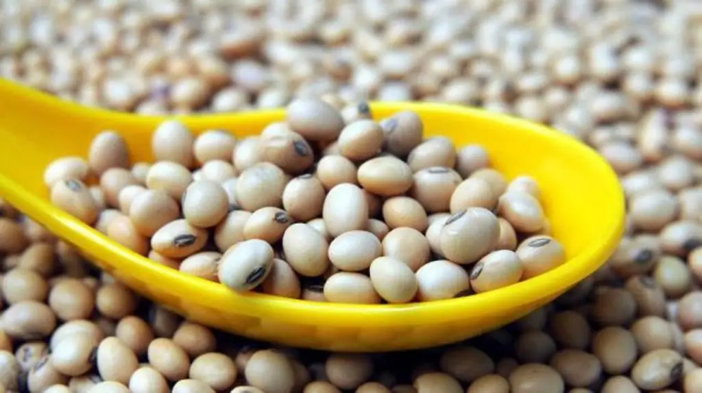 Soy mixture: composition, useful properties, purpose and practical application