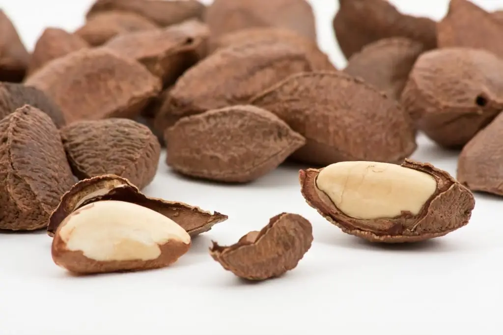 Brazil Nut: Mga Benepisyo sa Kalusugan para sa Kababaihan