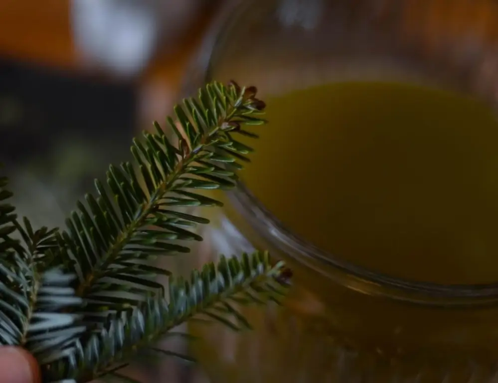 Cedar tincture