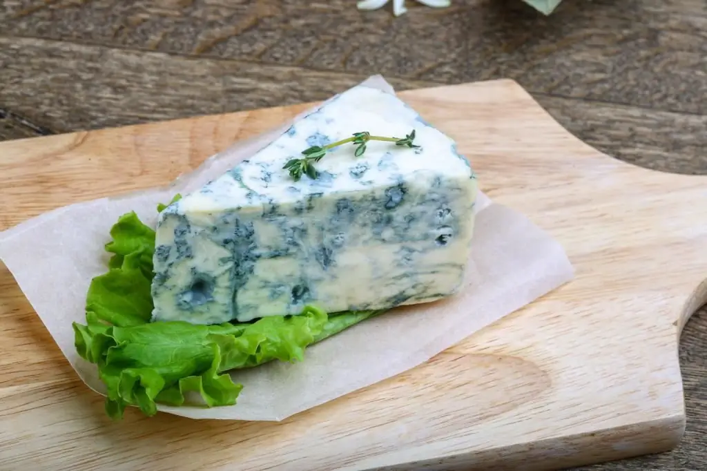 Recipes with blue cheese: the most delicious recipes with photos Recipes with blue cheese: the most delicious recipes with photos