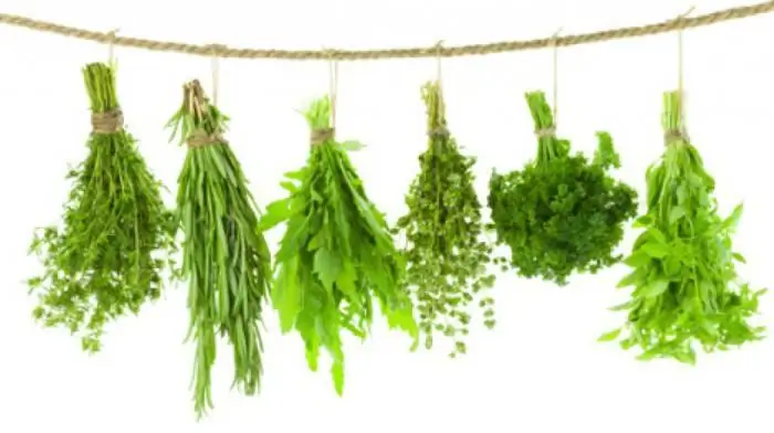 Weight loss on herbs - 25 kg per month. Herbs for weight loss: reviews, decoctions, recipes