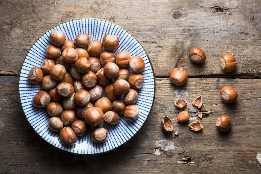 Adakah mungkin untuk mempunyai hazelnut dengan gv