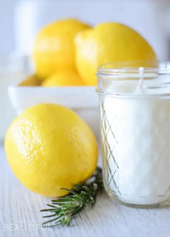 Citron fresh: recept s fotografií, přísadami, přísadami, kaloriemi, tipy a triky