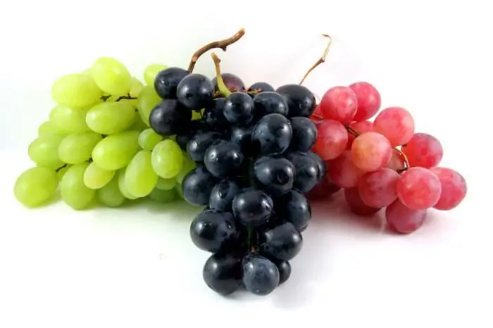 Les baies et les fruits les plus sains. Top 10 des baies les plus saines