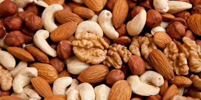 Are nuts protein or carbs? The benefits and harms of nuts