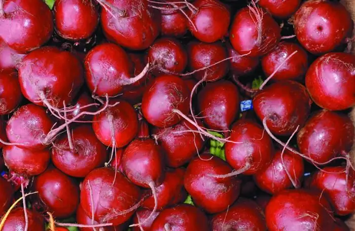 Naghahanap ng masarap at masustansyang gulay para sa menu ng iyong diyeta? Alamin kung gaano karaming mga calorie ang nasa pinakuluang beets, at ang gulay na ito ay siguradong magiging paborito sa anumang diyeta