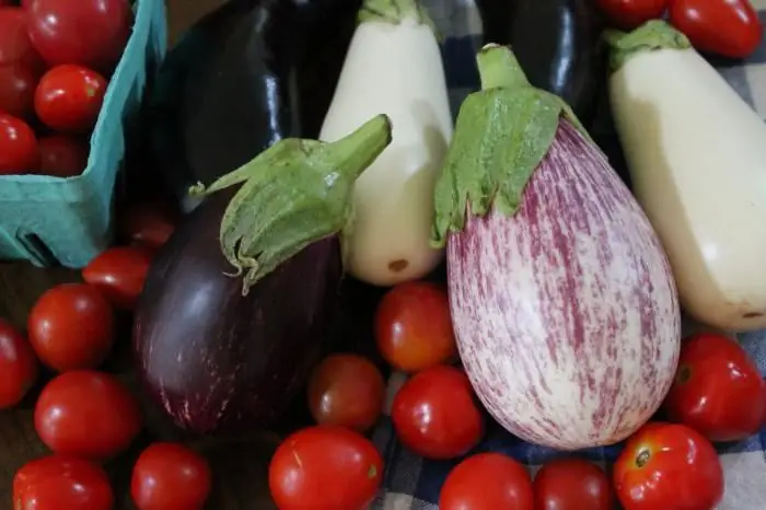 Die voordele en skade van eiervrug vir die liggaam. Is eiervrug 'n bessie of 'n groente?