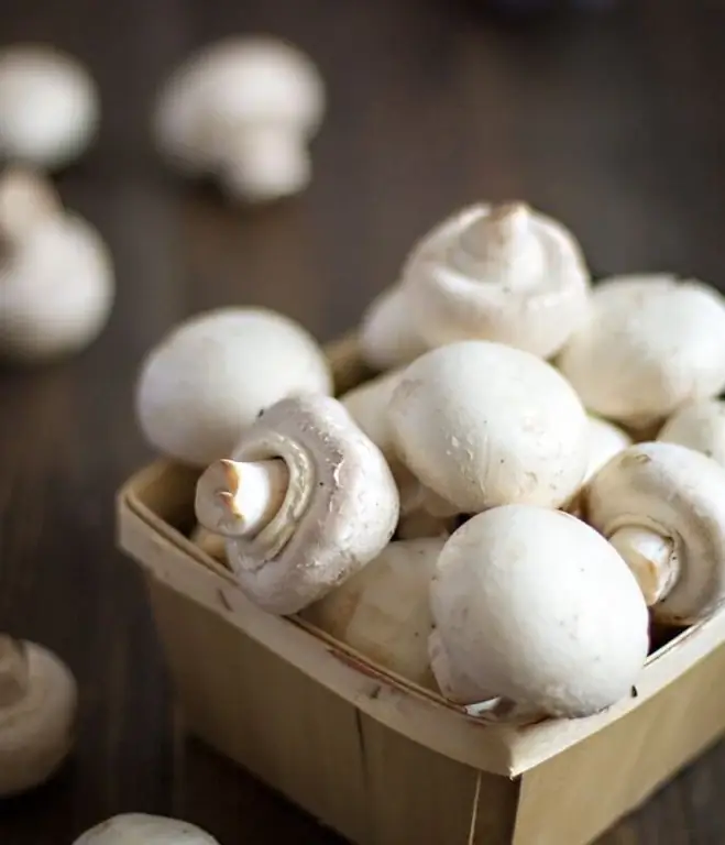 Mushrooms for julienne