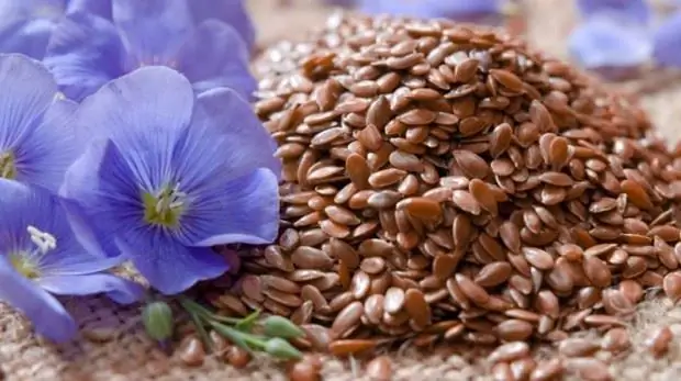 flax flowers and seeds