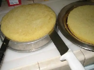 Come fare una torta alla crema: istruzioni passo passo con foto. Torta alla crema di biscotti