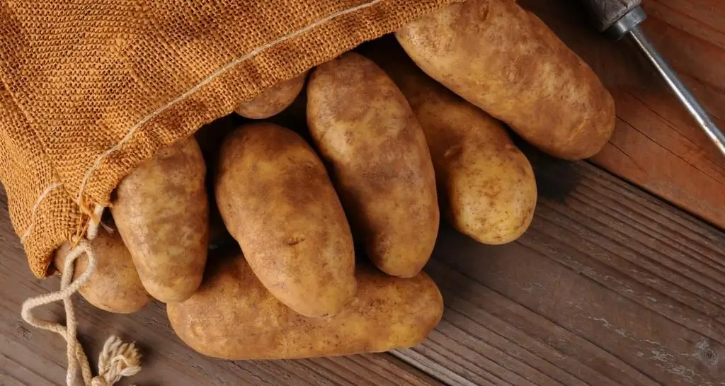 Resipi untuk kentang panggang dengan daging cincang dalam ketuhar. Berapa lama masa yang diperlukan untuk memasak kentang dengan daging cincang di dalam ketuhar?