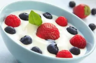 Yogur termostático: ¿qué es? ¿Cómo hacer yogur termostático? Yogur termostático: beneficios, opiniones