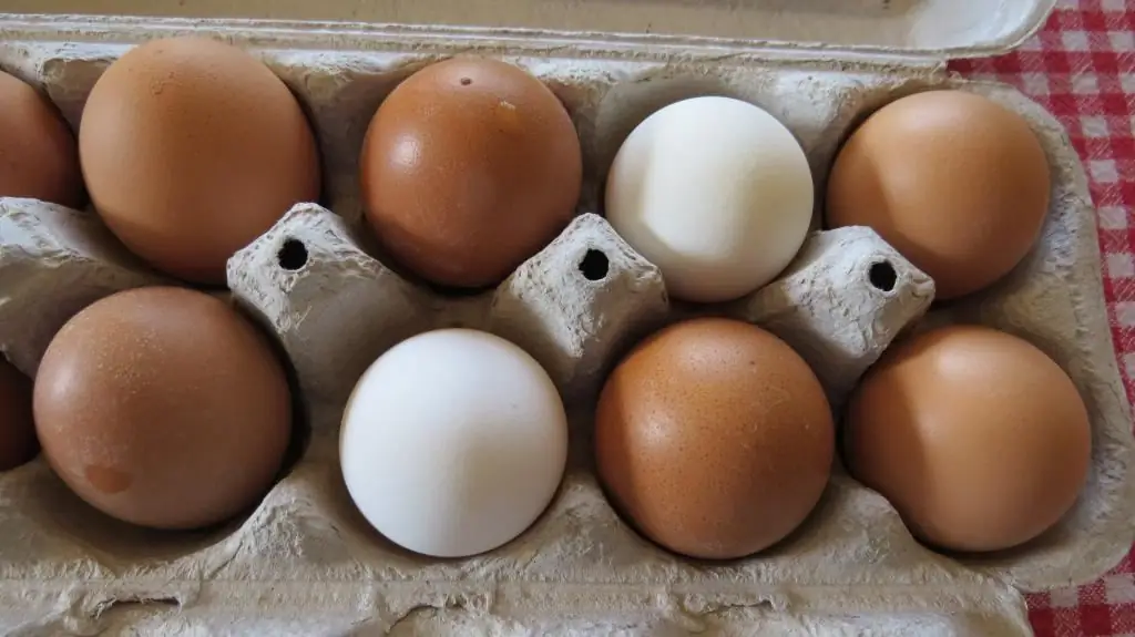 The difference between village eggs and store eggs and their benefits