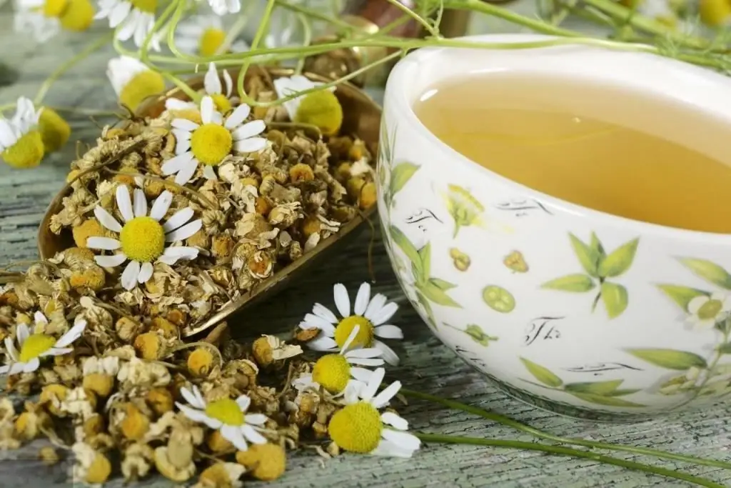 Apakah bisa untuk ibu hamil?minum teh chamomile