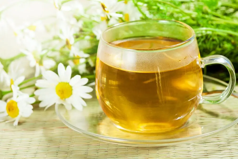 Is it possible to drink chamomile decoction as tea