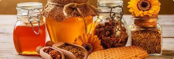 Ποιες είναι οι ποικιλίες του μελιού; Σκούρες, λευκές και σπάνιες ποικιλίες μελιού. Ποια ποικιλία είναι η πιο χρήσιμη; Ποιες είναι οι ποικιλίες του μελιού; Σκούρες, λευκές και σπάνιες ποικιλίες μελιού. Ποια ποικιλία είναι η πιο χρήσιμη;