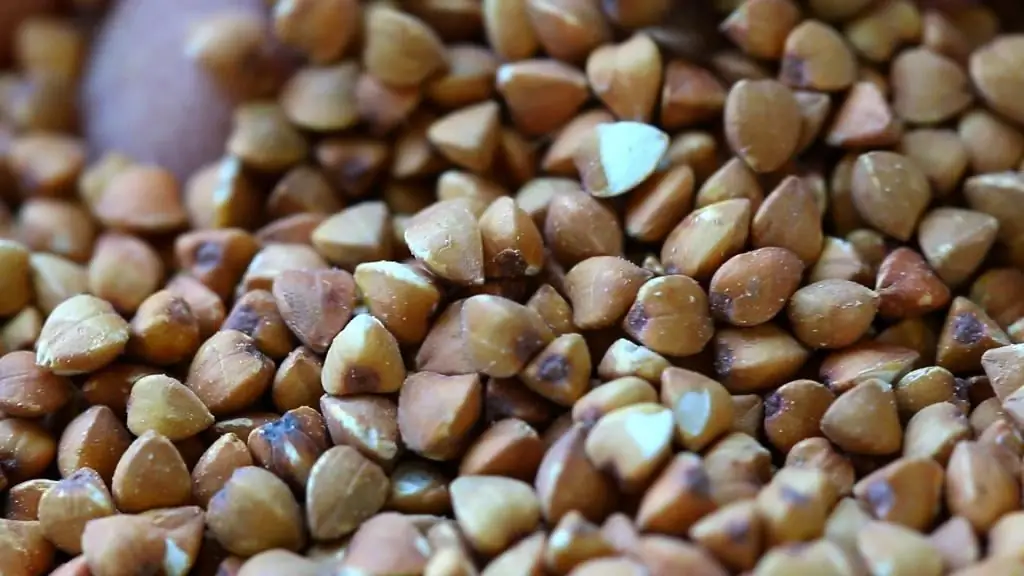 Buckwheat kernel: muaj pes tsawg leeg, muaj txiaj ntsig zoo thiab ua noj tsis pub lwm tus paub