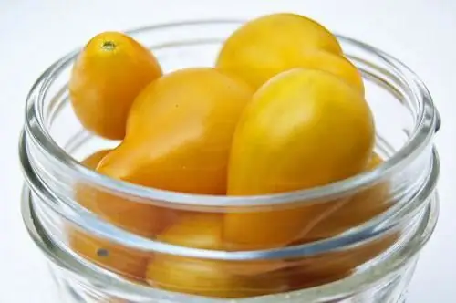 Tomate amarelo para o inverno: receitas