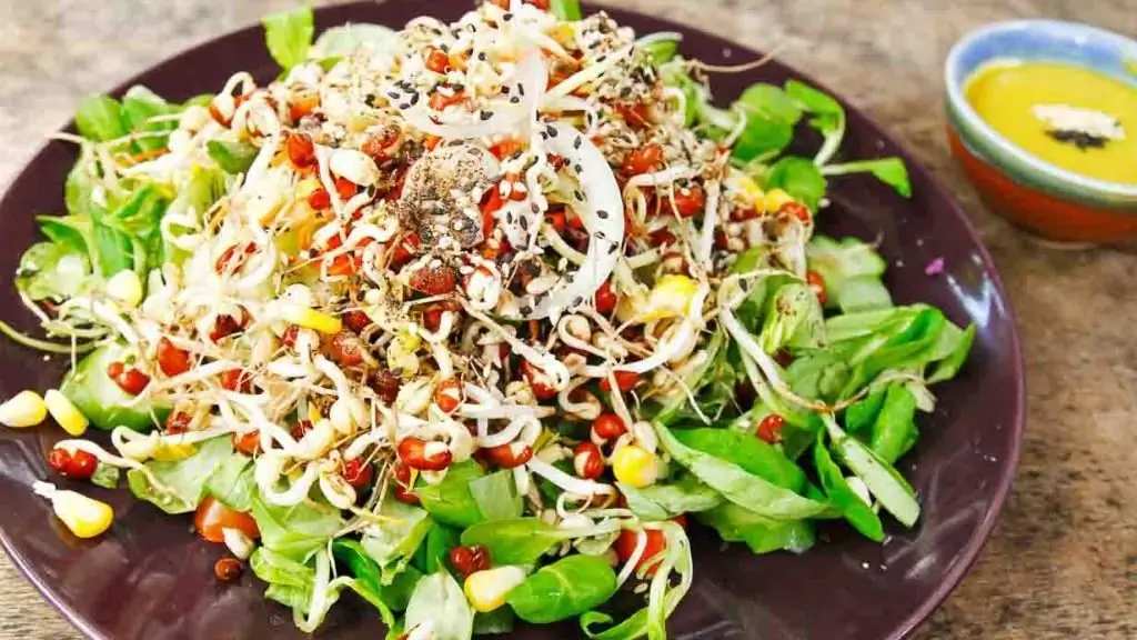 Ensalada con trigo germinado: receta paso a paso, funciones de cocina y reseñas