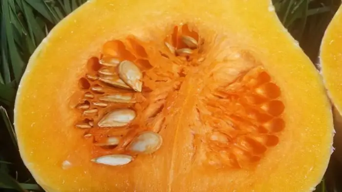 resepi labu butternut