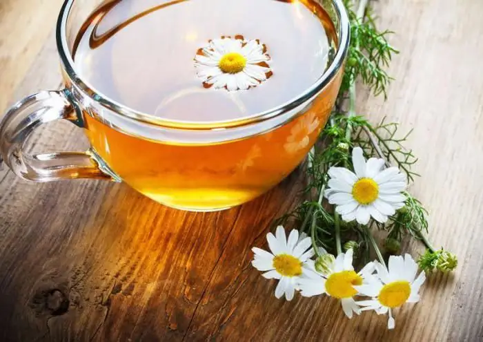 Chamomile habang nagpapasuso. Chamomile tea: mga benepisyo at pinsala