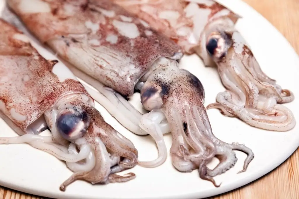 Sea salad with squid and shrimp: recipes, cooking features and reviews