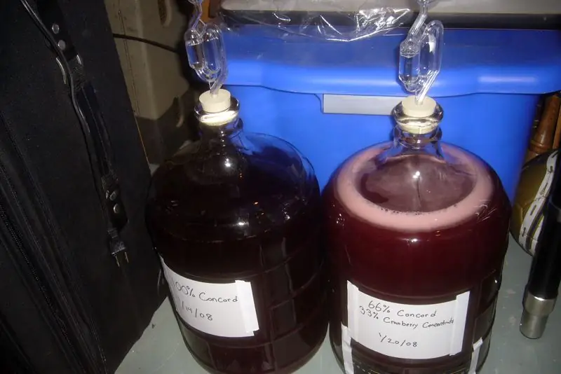 How to make homemade wine: recipes