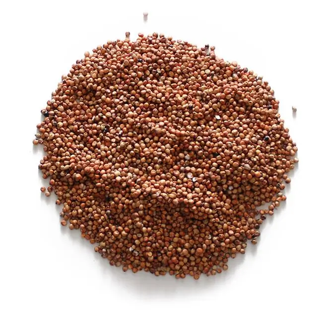 Millet groats. Millet: useful properties and methods of preparation