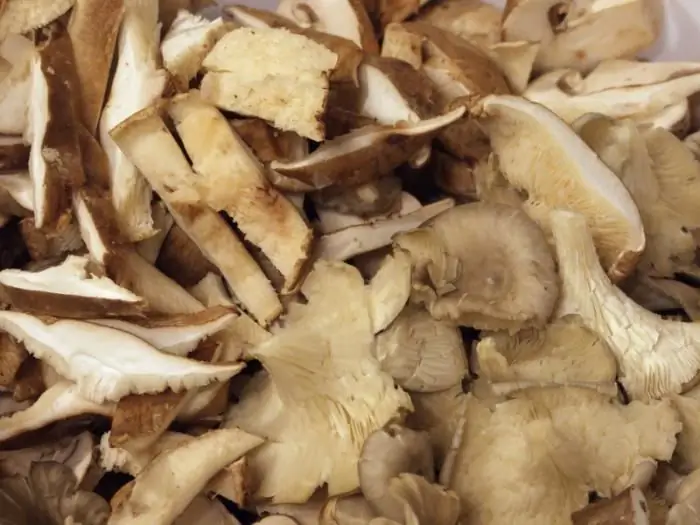 Funghi ai funghi come si cucinano? Consigli su come salare i funghi porcini in modo che siano teneri e gustosi