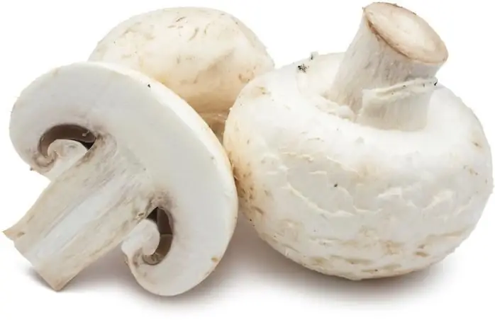 Wie man Champignons in einer Pfanne brät, wie lange? Champignon-Gerichte