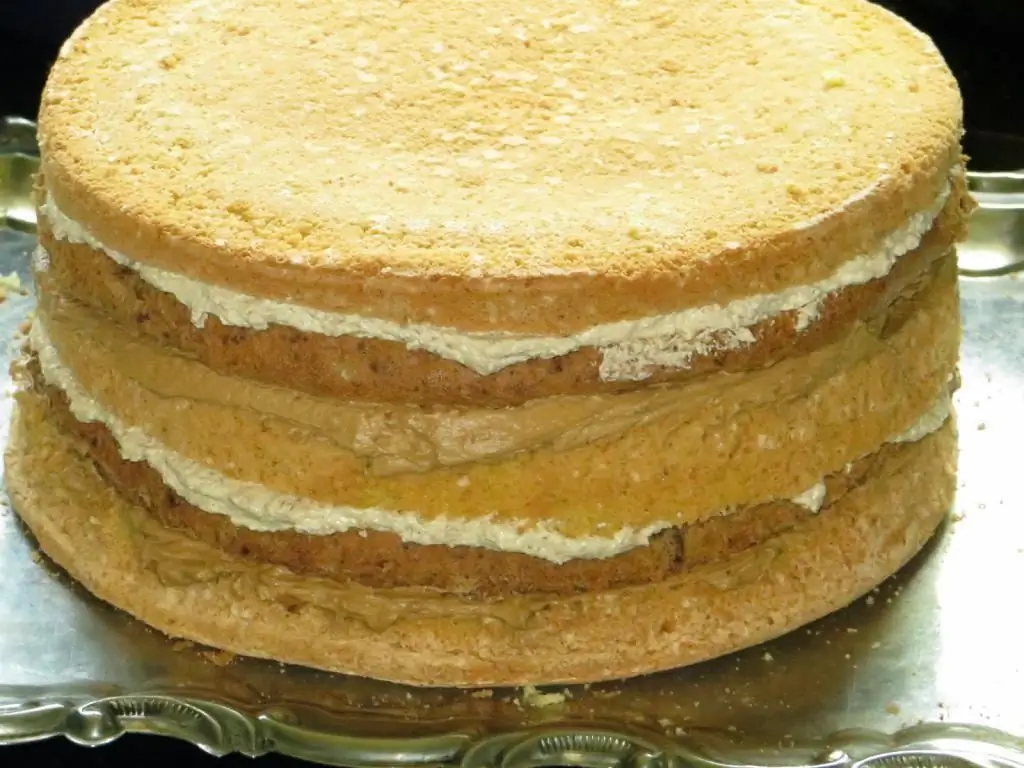 Straturi de tort