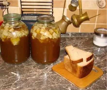 Sourdough para kvass em casa