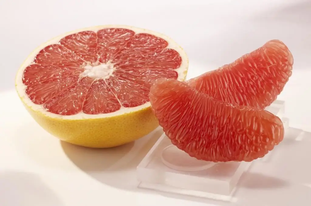 grapefruit suculent