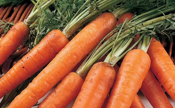 Anong bitamina ang matatagpuan sa carrots? Ang nilalaman ng mga bitamina at mineral sa mga karot