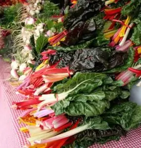 Verduras tan diferentes: una lista de verduras con almidón y sin almidón