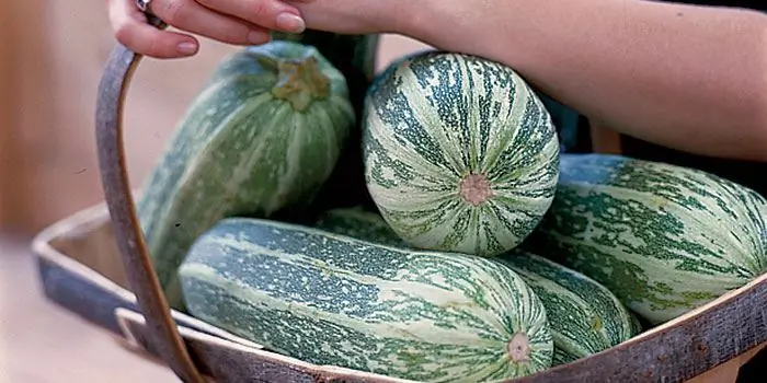 একটি ঝুড়ি মধ্যে zucchini